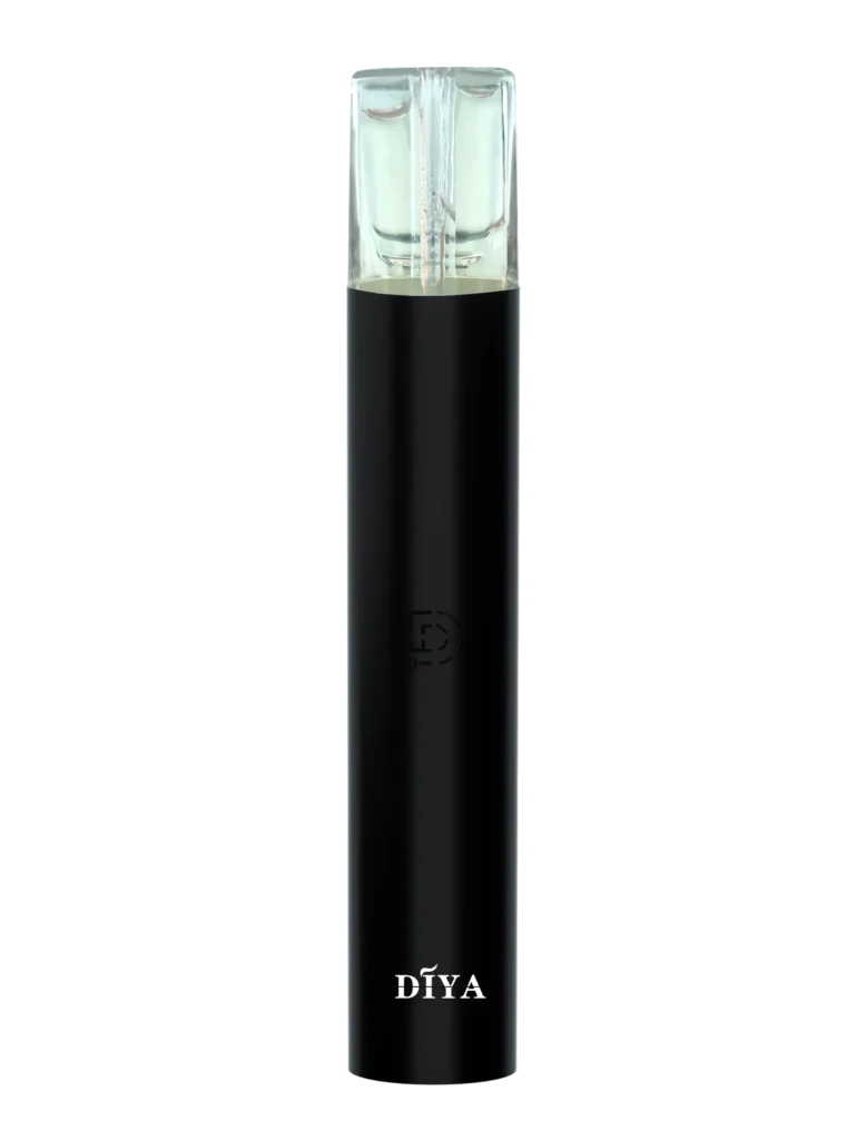 DIYA 叮啞一代主機